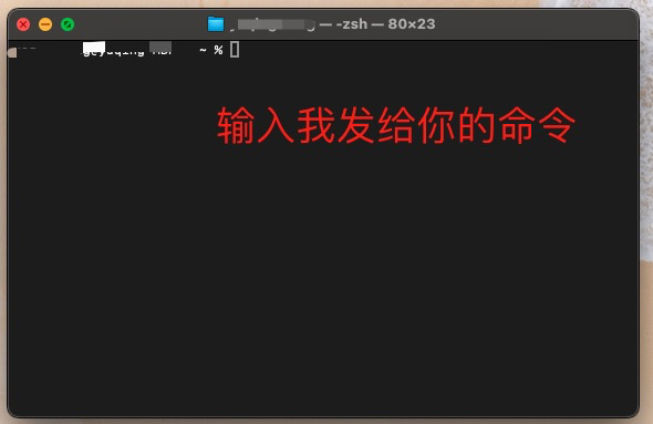 image-20260103030949048